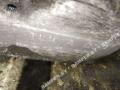 КПП механическая (МКПП) Renault Clio 3 поколение 2005, DCi, DCi, TL4A002 - фото №5