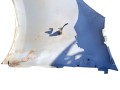 крыло переднее правое Renault Trafic 3 поколение 2019 - фото №6