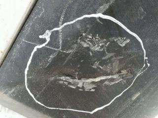 бампер передний Volkswagen Touran 1 поколение 2005