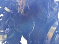 двигатель BMW 3 серия E36 1996, 1.6 л., i, бензин, 164E1 - фото №5