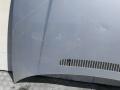 капот BMW 3 серия E46 2001 - фото №6