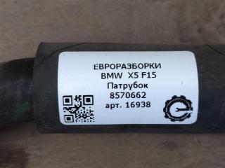 патрубок (трубопровод, шланг)