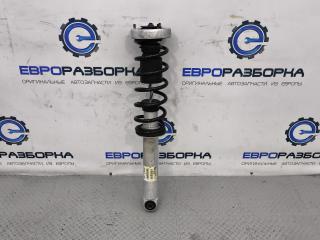 амортизатор задний BMW 5 серия E60/E61 E60 2006, 2.5 л., бензин, АКПП, передний привод, 7905315, 33527905315, 33526785986