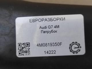 патрубок (трубопровод, шланг)
