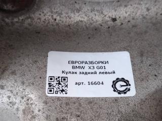 кулак задний левый