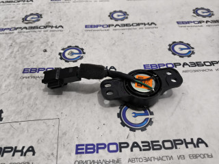 динамик