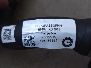 патрубок (трубопровод, шланг)