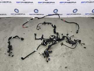 проводка двигателя BMW X2 F39 2021, 2.0 л., B48 A20 A, бензин, АКПП, полный привод, правый руль