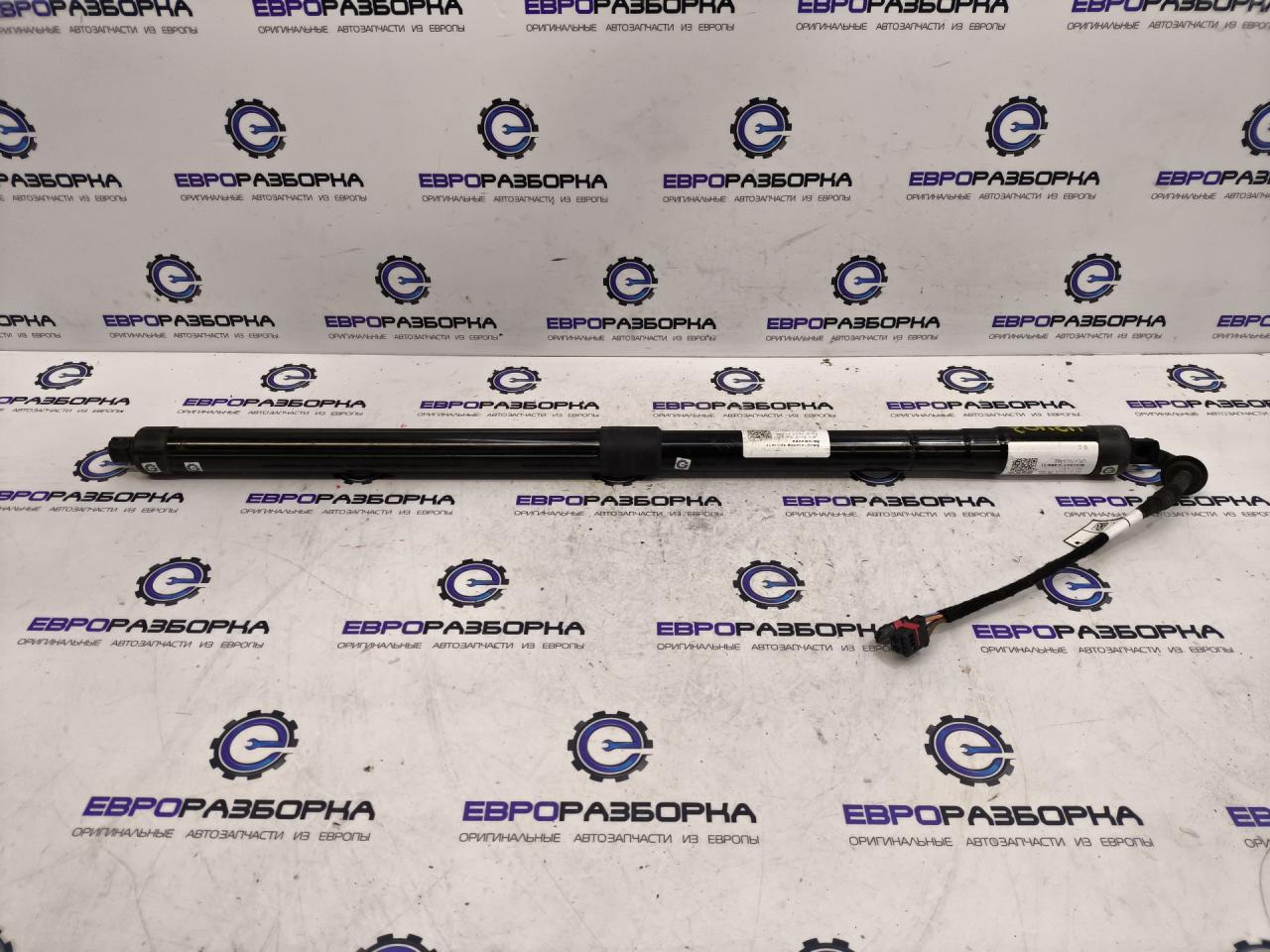 амортизатор крышки багажника (3-5 двери) Land Rover Range Rover Sport 2 поколение L494 2017, 3.0 л., дизель, АКПП, передний привод, правый руль, LR104909, CPLA70354BE, CPLA70354BF, CPLA70354BG, CPLA70354BH, LR126173, LR159597, LR165919 - фото №1