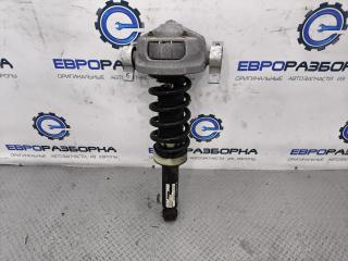 амортизатор задний Audi Q7 4L 2007, 3.0 л., TDi, дизель, АКПП, передний привод, 4L0512021B, 4L0513029B