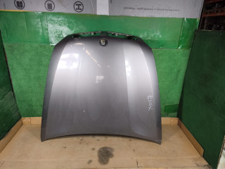капот BMW X5 E70 2008, 3.0 л., дизель, АКПП, серый, внедорожник 5 дв., полный привод, правый руль