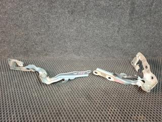 петля капота Toyota Camry 7 поколение XV40 2008, 2.4 л., 2AZ-FE, бензин, АКПП, седан, передний привод