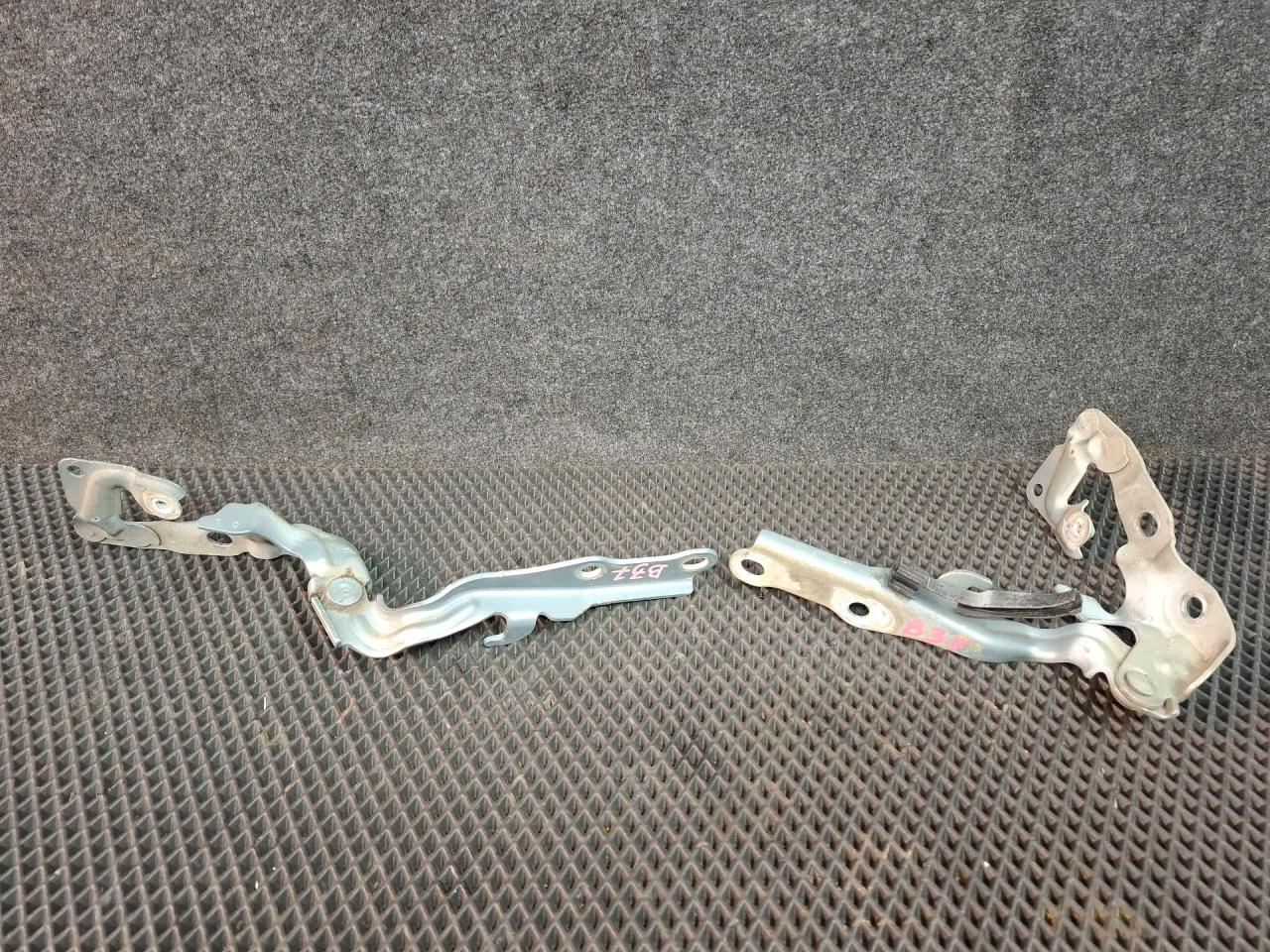 петля капота Toyota Camry 7 поколение XV40 2008, 2.4 л., 2AZ-FE, бензин, АКПП, седан, передний привод - фото №1