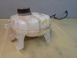 бачок расширительный Ford Edge 2 поколение CD539 [рестайлинг] 2020, 2.0 л., бензин, АКПП, красный, внедорожник 5 дв., полный привод