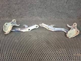 петля капота Toyota Sienna 2 поколение XL20 [рестайлинг] 2008, 3.5 л., 2GR-FE, бензин, АКПП, минивэн, передний привод