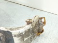 крыло переднее правое Opel Corsa D [2-й рестайлинг] 2011, 1.2 л., i, A 12 XER, бензин, 5МКПП, хетчбэк 5 дв., передний привод, 93189644, 13191096, 1697530280 - фото №4
