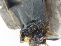 двигатель Opel Meriva 2 поколение (B) 2011, 1.4 л., i, A 14 XER, бензин, 5МКПП, минивэн, передний привод, A14XER, 93169416, 55564956 - фото №9