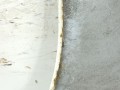 крыло переднее правое Opel Corsa D [2-й рестайлинг] 2011, 1.2 л., i, A 12 XER, бензин, 5МКПП, хетчбэк 5 дв., передний привод, 93189644, 13191096, 1697530280 - фото №8