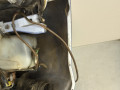 передняя часть (ноускат) Honda Jazz 1 поколение 2002, 1.3 л., i, L13A1, бензин, 5МКПП, синий, хетчбэк 5 дв., передний привод, правый руль - фото №16