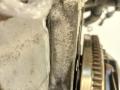 двигатель Volkswagen Polo 4 поколение [рестайлинг] 2005, 1.2 л., i, BMD, бензин, 5МКПП, хетчбэк 5 дв., передний привод, BMD - фото №7