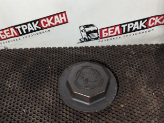 крышка ступицы Scania R 6 серия 2019, OC13 101, газ, АКПП, chilli red, задний привод, 1361859, 1361860, 1868663, 1724406, 1480933, 1391369, 1378698, 1868674, 1724407, 1414154, 1403040, 1382774, 1371596, 1370239, 1364304, 1358789, 1351829, 1339678, 2734965, 1864221