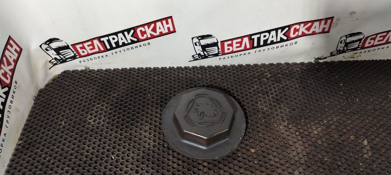 крышка ступицы Scania R 6 серия 2019, OC13 101, газ, АКПП, chilli red, задний привод, 1361859, 1361860, 1868663, 1724406, 1480933, 1391369, 1378698, 1868674, 1724407, 1414154, 1403040, 1382774, 1371596, 1370239, 1364304, 1358789, 1351829, 1339678, 2734965, 1864221 - фото №1