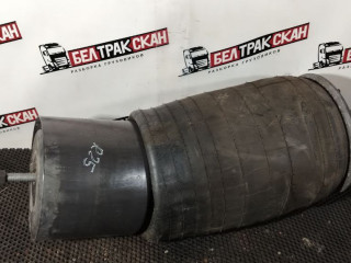 пневмоподушка Scania G 6 серия 2018, 12.7 л., DC 13.148, дизель, АКПП, white ivory, задний привод, 3008726, 2617887, 1932593, 1434933