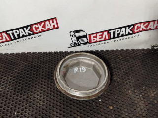 крышка ступицы Scania R 5 серия 2012, 12.7 л., DC 13.112, дизель, АКПП, white ivory, задний привод, 1361859, 1361860, 1864221, 2734965, 1868663, 1724406, 1480933, 1391369, 1378698, 1868674, 1724407, 1414154, 1403040, 1382774, 1371596, 1370239, 1364304, 1358789, 1351829, 1339678