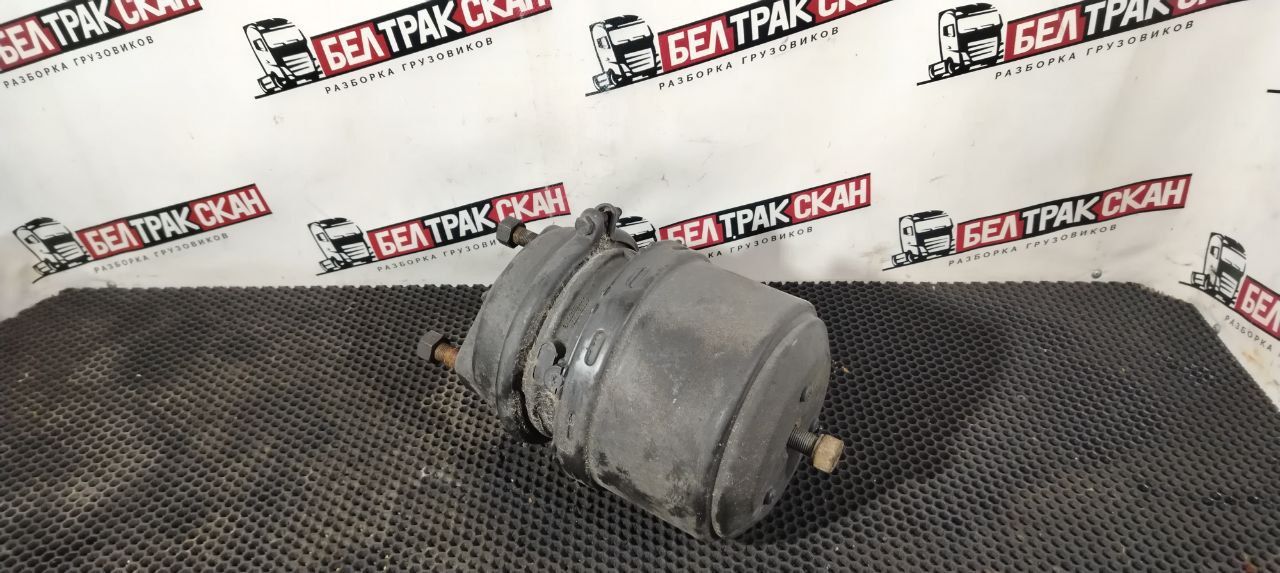 энергоаккумулятор Scania G 6 серия 2018, 12.7 л., DC 13.148, дизель, АКПП, white ivory, задний привод, 2494053, 2378108, 2494052, 2378107 - фото №1