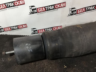 пневмоподушка Scania G 6 серия 2018, 12.7 л., DC 13.148, дизель, АКПП, white ivory, задний привод, 2617884, 1932592, 1434930