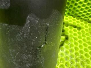 корпус топливного фильтра Renault Trafic 2 поколение [рестайлинг] 2013, 2.0 л., дизель, 8200780972