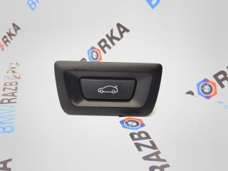 кнопка открытия багажника BMW X1 U11 2023, электро, полный привод, 61315A1B2F9, 5A1B2F9