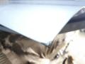 дверь передняя левая BMW X6 F16 2015, 3.0 л., N57 D30 C, дизель, АКПП, a96, внедорожник 5 дв., полный привод - фото №3