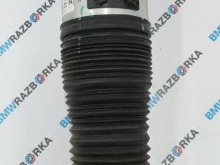 пневмостойка передняя BMW X7 G07 [рестайлинг] G07 2023, 3.0 л., B58B30P, бензин, АКПП, 475, внедорожник 5 дв., полный привод, 78315615, 462400014175