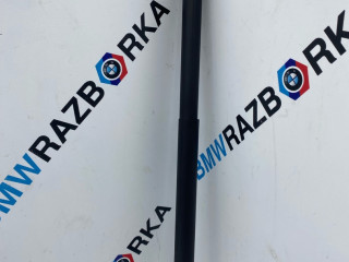 амортизатор крышки багажника (3-5 двери) Mercedes-Benz V-Класс W447 [рестайлинг] W447 2024, 2.0 л., OM 654.920, дизель, АКПП, черный обсидиан металлик mb 9197, микроавтобус, задний привод, 4479800064, A4479800064