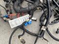 проводка двигателя BMW X6 E71 [рестайлинг] E71 2012, 3.0 л., N57 D30 C, дизель, АКПП, 475, внедорожник 5 дв., полный привод, 8508113, 8508190, 8508112, 8508105, 8508086 - фото №4