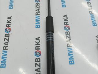 амортизатор капота BMW 5 серия G30/G31 G30 2019, 2.0 л., B47 D20 B, дизель, АКПП, 51237347403, 7347403