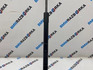 амортизатор капота BMW X5 F15 2016, 2.0 л., N20 B20 A, бензин, внедорожник 5 дв., 7308065