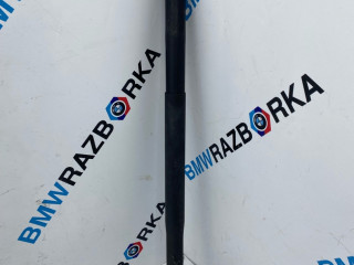 амортизатор крышки багажника (3-5 двери) BMW X6 G06 2020, 3.0 л., B57 D30 A, дизель, АКПП, с27, внедорожник 5 дв., полный привод, 5A1DEC5