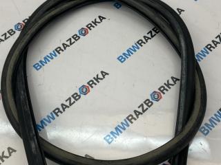 уплотнитель подкапотного пространства BMW M5 F90 2019, 4.4 л., S63 B44 B, бензин, АКПП, 475, седан, полный привод, 7349599