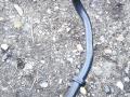 шланг (трубка) АКПП BMW Z4 G29 2020, 2.0 л., B48 B20 B, бензин, АКПП, родстер, 8654897, 17228654897, 8654898, 17228654898 - фото №4