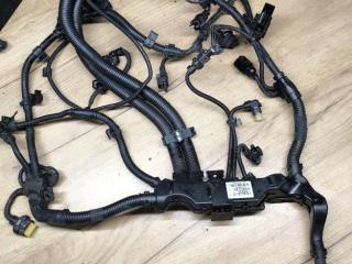 проводка двигателя BMW 4 серия G22/G23 G22 2021, 2.0 л., B47 D20 B, дизель, 8490465, 7925957, 7580285