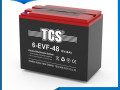 аккумулятор (AKБ) , 48AH, TYAGOVYI, 6EVF48, 6-EVF-48 - фото №2