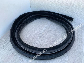 уплотнитель двери BMW 5 серия E60/E61 [рестайлинг] E60 2007, 2.5 л., N53 B25 A, бензин, АКПП, седан