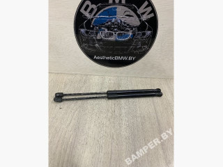 амортизатор капота BMW X5 E70 2007, 3.0 л., M57N2 306 D3, дизель, АКПП, внедорожник 5 дв., 51327148346, 7148346