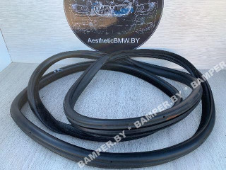 уплотнитель двери BMW X5 E70 2007, 3.0 л., дизель, АКПП, внедорожник 5 дв., полный привод