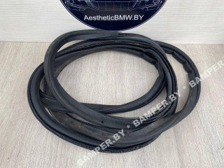 уплотнитель BMW X5 E53 [рестайлинг] E53 2005, 3.0 л., дизель, АКПП, внедорожник 5 дв., полный привод