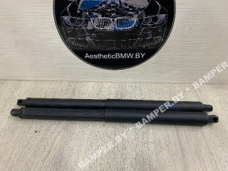 амортизатор крышки багажника (3-5 двери) BMW X5 E70 2007, 3.0 л., M57N2 306 D3, дизель, АКПП, внедорожник 5 дв., 51247177283, 7177283