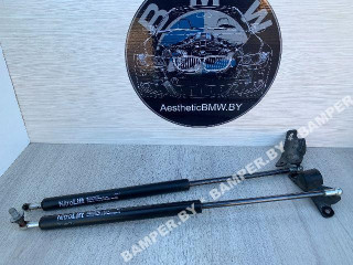 амортизатор крышки багажника (3-5 двери) BMW X5 E70 2007, 3.0 л., дизель, АКПП, внедорожник 5 дв., полный привод