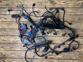 проводка двигателя BMW 3 серия E90/E91/E92/E93 E90 2005, 3.0 л., M57N2 306 D3, дизель, АКПП, седан